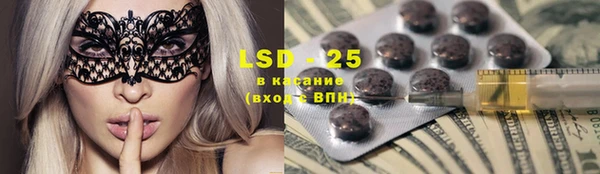 ПСИЛОЦИБИНОВЫЕ ГРИБЫ Инсар