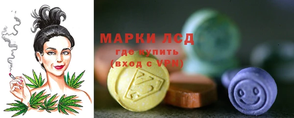 ПСИЛОЦИБИНОВЫЕ ГРИБЫ Инсар