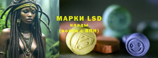 ПСИЛОЦИБИНОВЫЕ ГРИБЫ Инсар