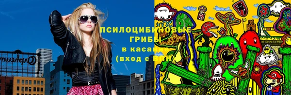 ПСИЛОЦИБИНОВЫЕ ГРИБЫ Инсар