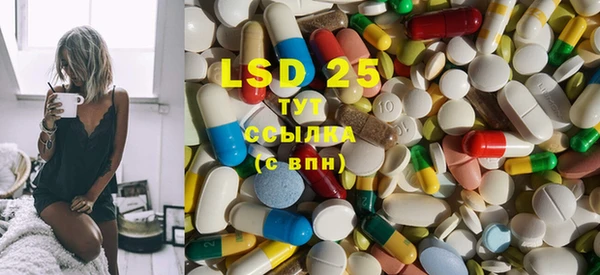 ПСИЛОЦИБИНОВЫЕ ГРИБЫ Инсар