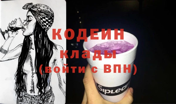 ПСИЛОЦИБИНОВЫЕ ГРИБЫ Инсар