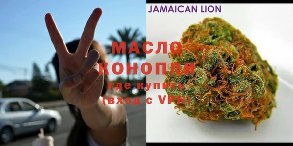 ПСИЛОЦИБИНОВЫЕ ГРИБЫ Инсар