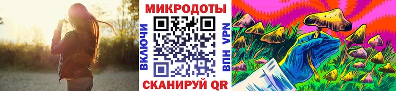 Купить закладки  Кольчугино  Галлюциногенные грибы Magic Shrooms 